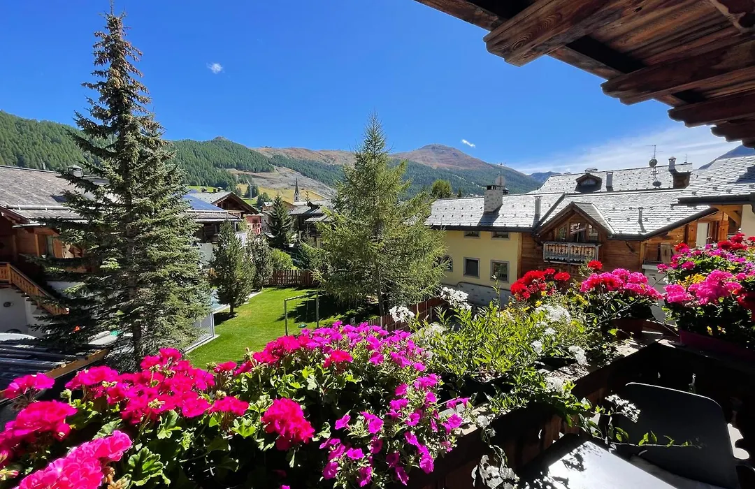 Alpine Rooms&Suites Livigno - Camana Noa --1